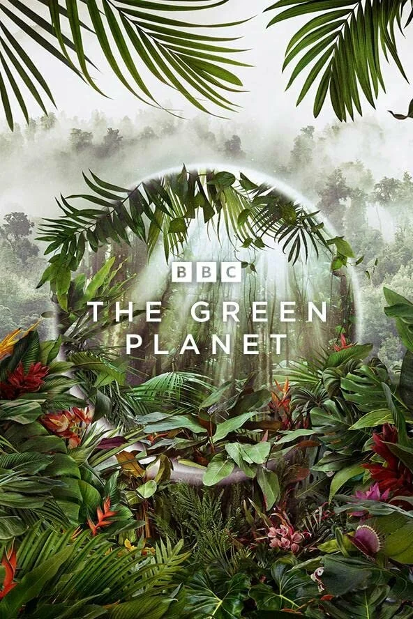 Зелёная планета сериал 2022 смотреть онлайн бесплатно в хорошем качестве HD